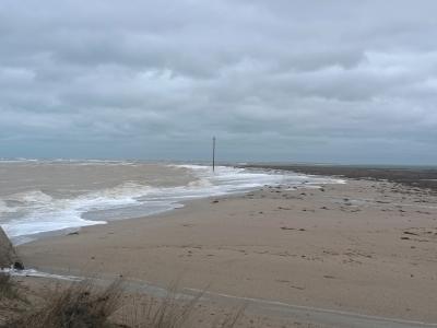 Прикрепленное изображение: Resizer_16808964298401.jpeg